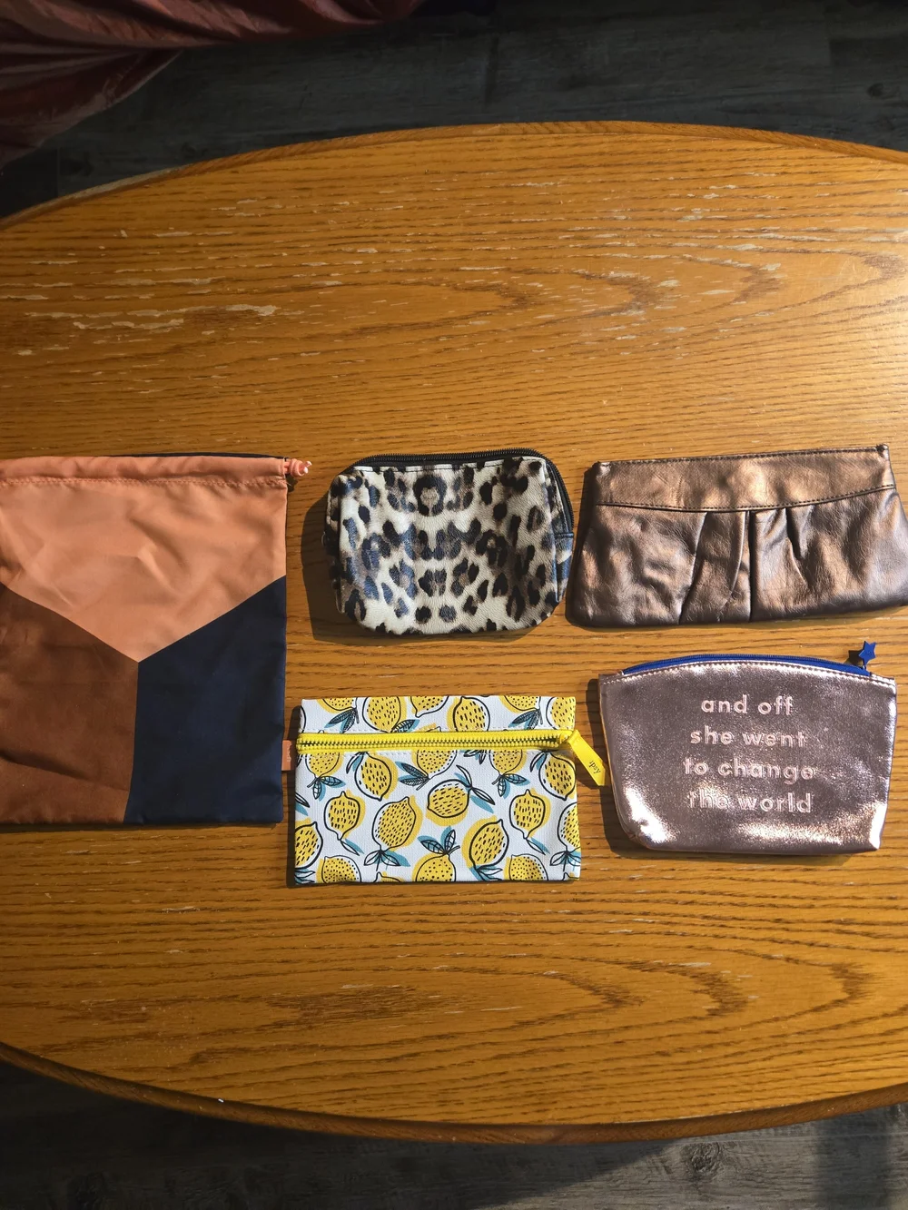 Set of 5 Makeup Cosmetic Bags & Accessory Pouches